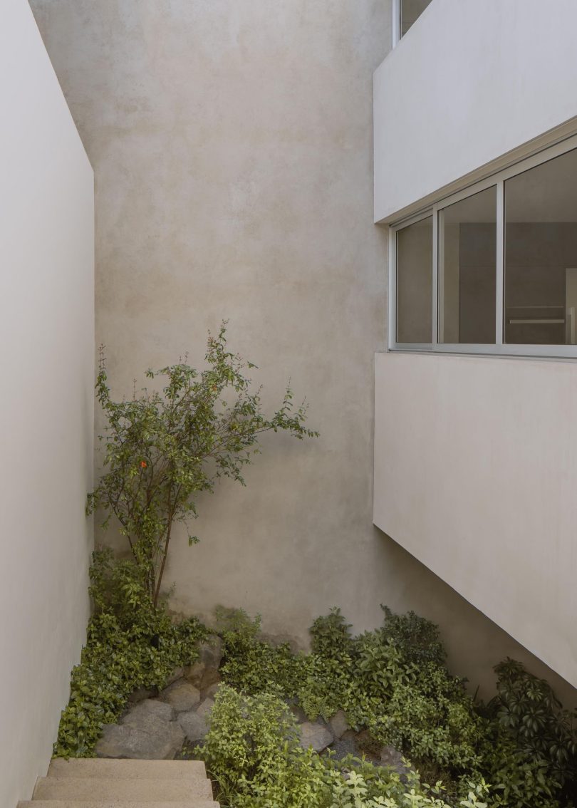 Escobedo Soliz设计的卡纳达之家Casa de la Cañada