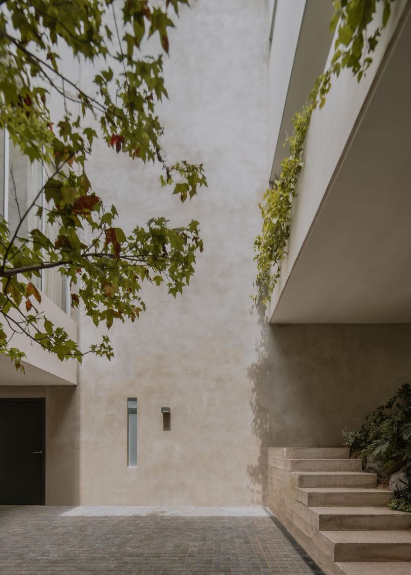 Escobedo Soliz设计的卡纳达之家Casa de la Cañada