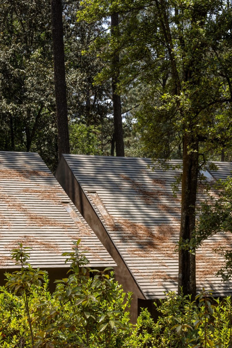 由PPAA设计的极简住宅Casa Zarzales