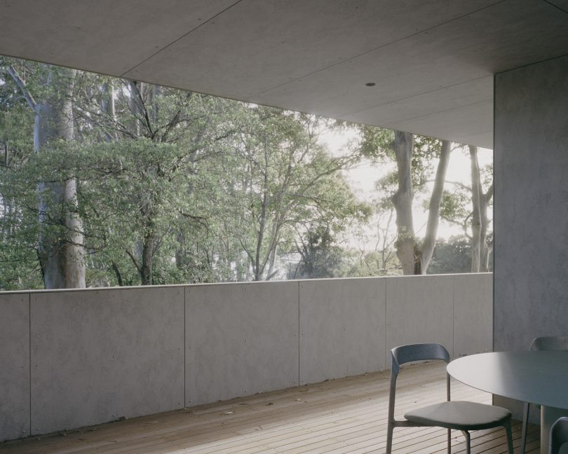 Edition Office设计的迷你住宅Mossy Point House