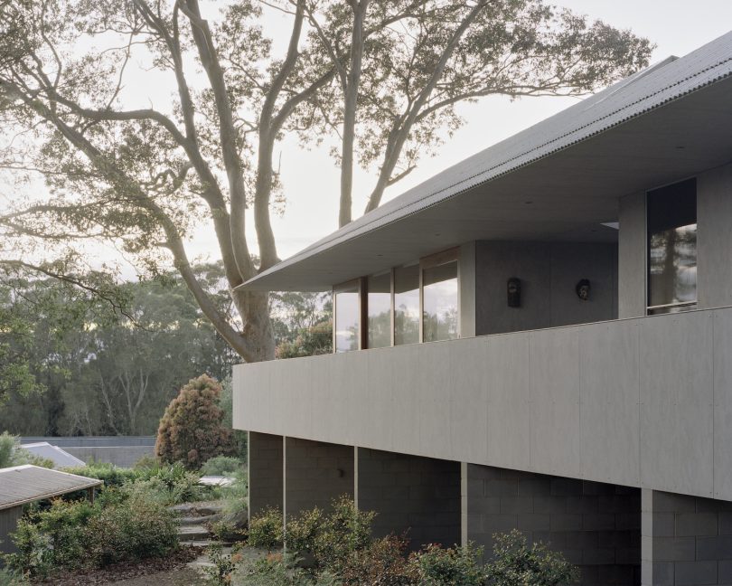 Edition Office设计的迷你住宅Mossy Point House