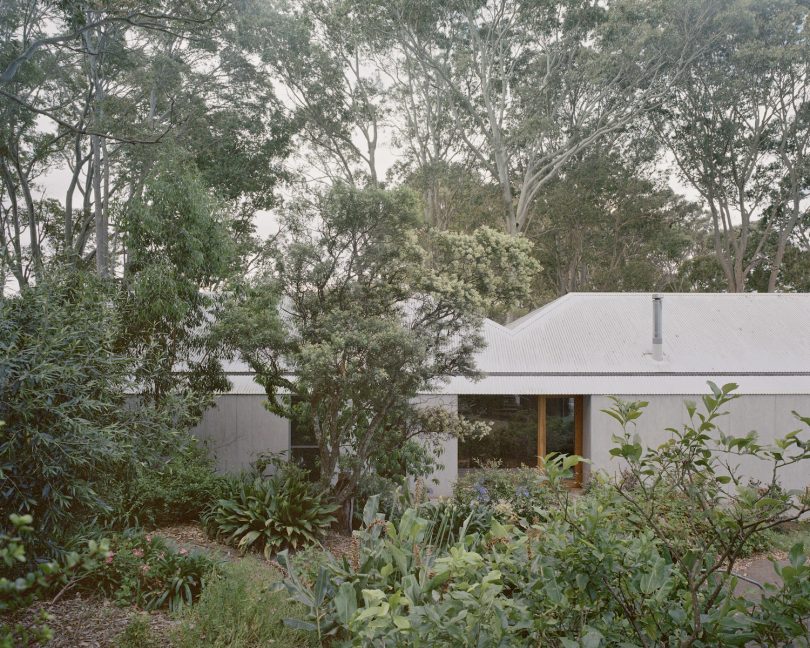 Edition Office设计的迷你住宅Mossy Point House