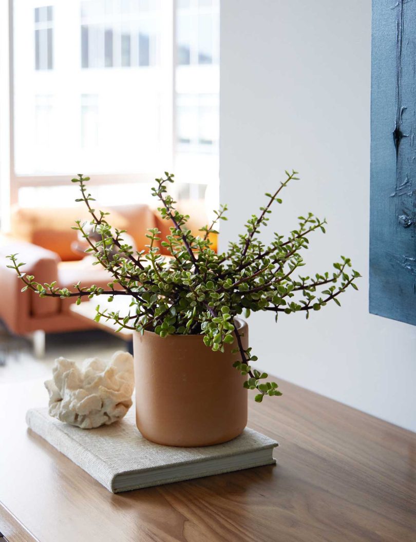 由Casey Keasler设计的现代公寓Portland Apartment