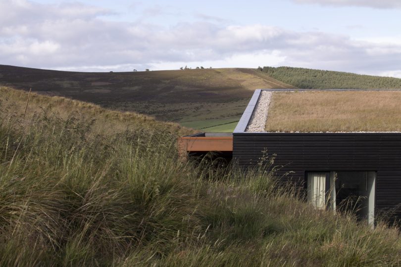 由Brown & Brown设计的极简住宅Spyon Cop