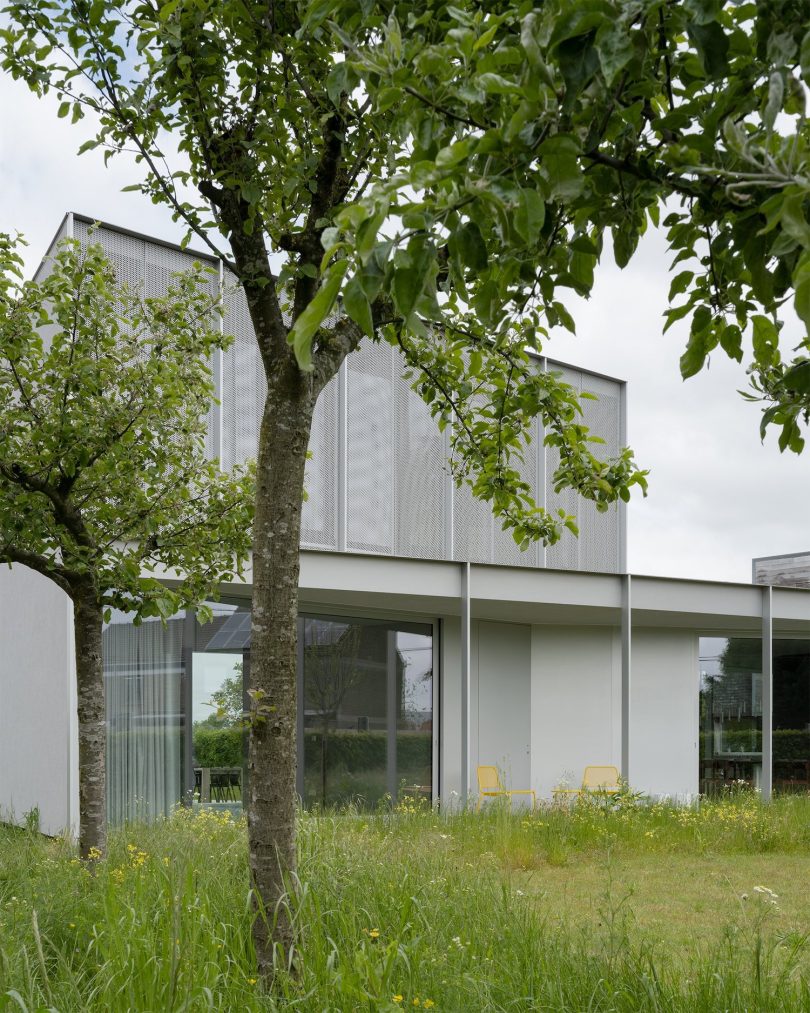 由BASIL architecture设计的极简住宅House WADD