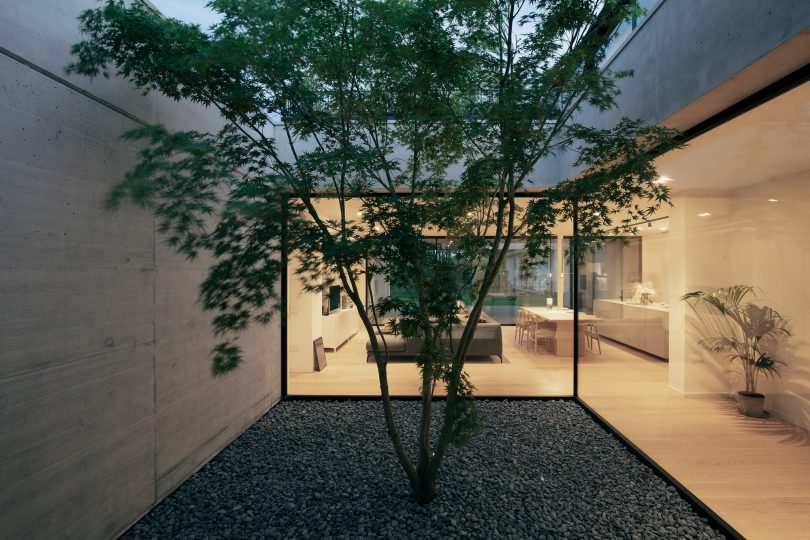 Didonè Comacchio Architects设计的极简主义住宅House FN