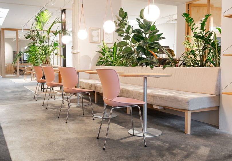 荷兰设计品牌:来自Moooi的Hana椅子不仅仅是座位