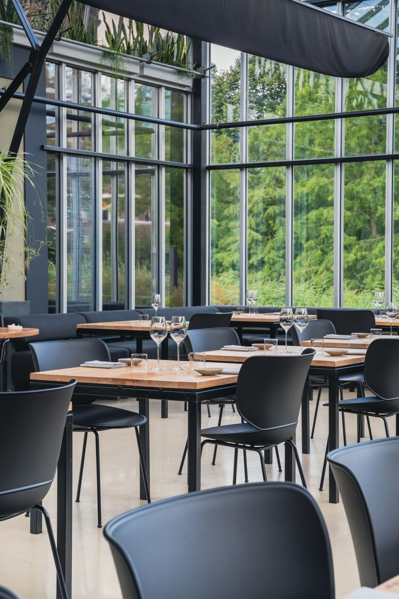 荷兰设计品牌:来自Moooi的Hana椅子不仅仅是座位