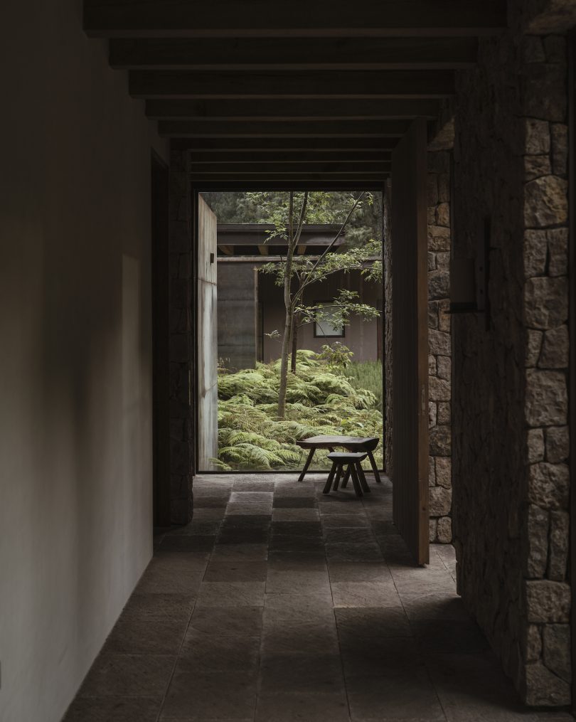 由Bernardo Chavez Peón设计的极简主义住宅Los Durmientes