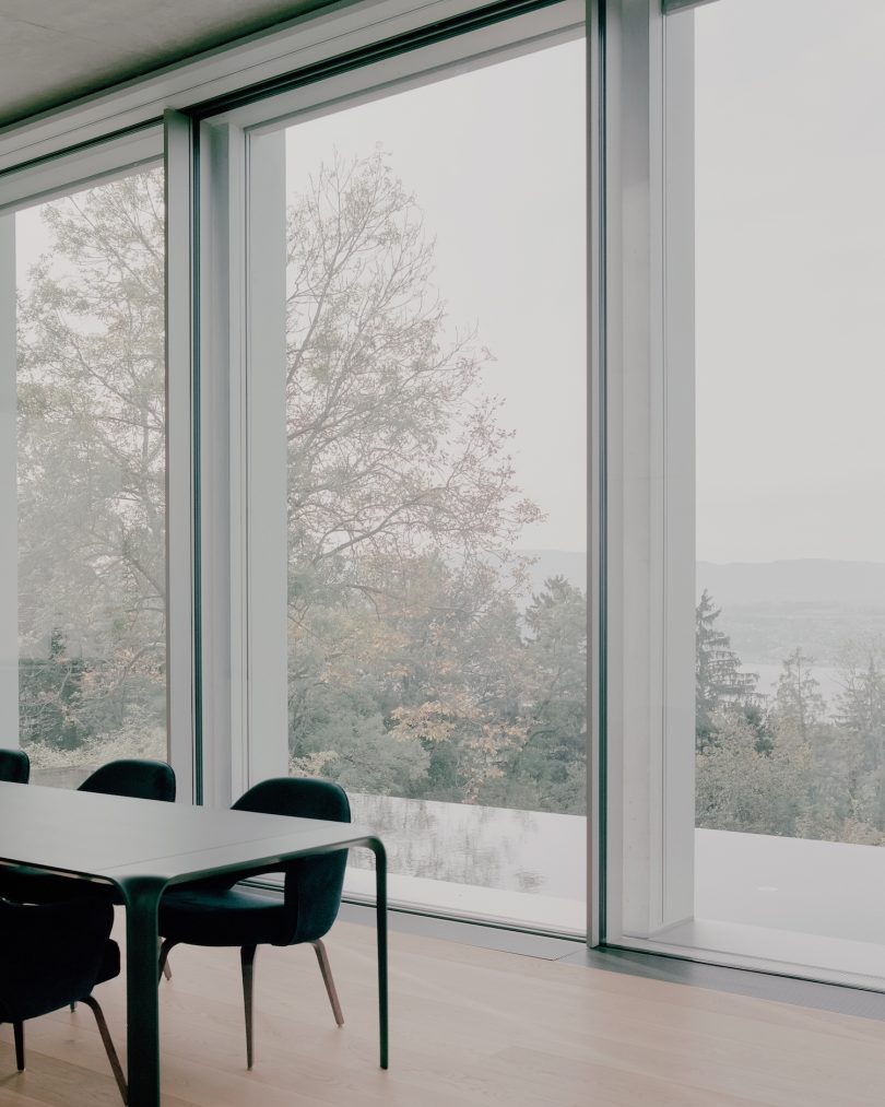 由PPAA设计的极简主义住宅Uetikon Villa