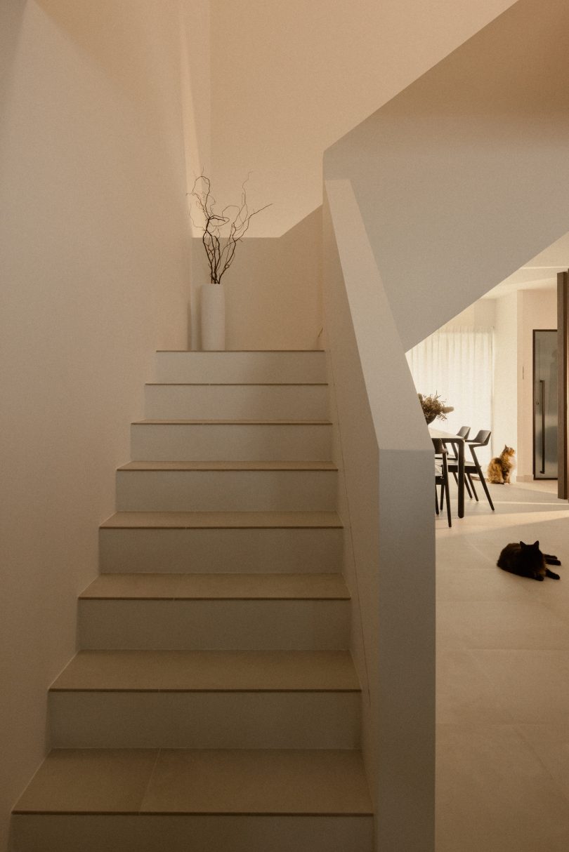 由arche设计的极简主义空间Crème