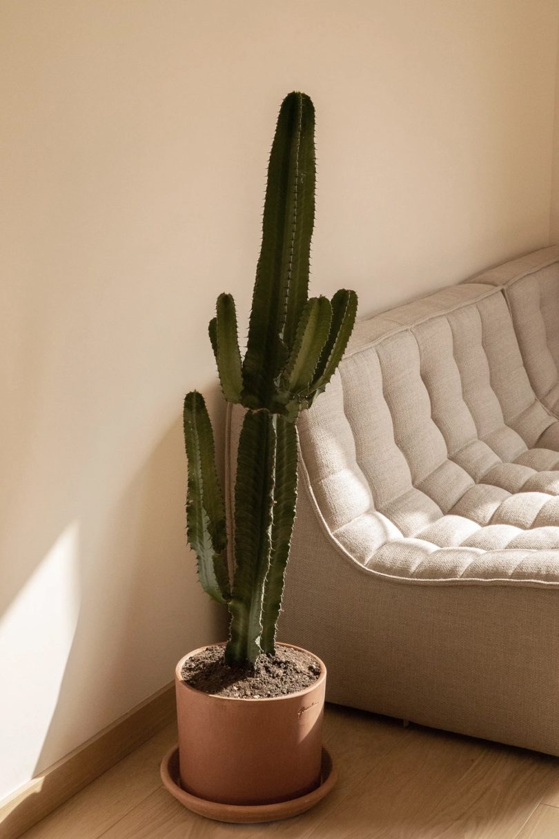 Studio Cent Soixante设计的极简主义公寓Riviera