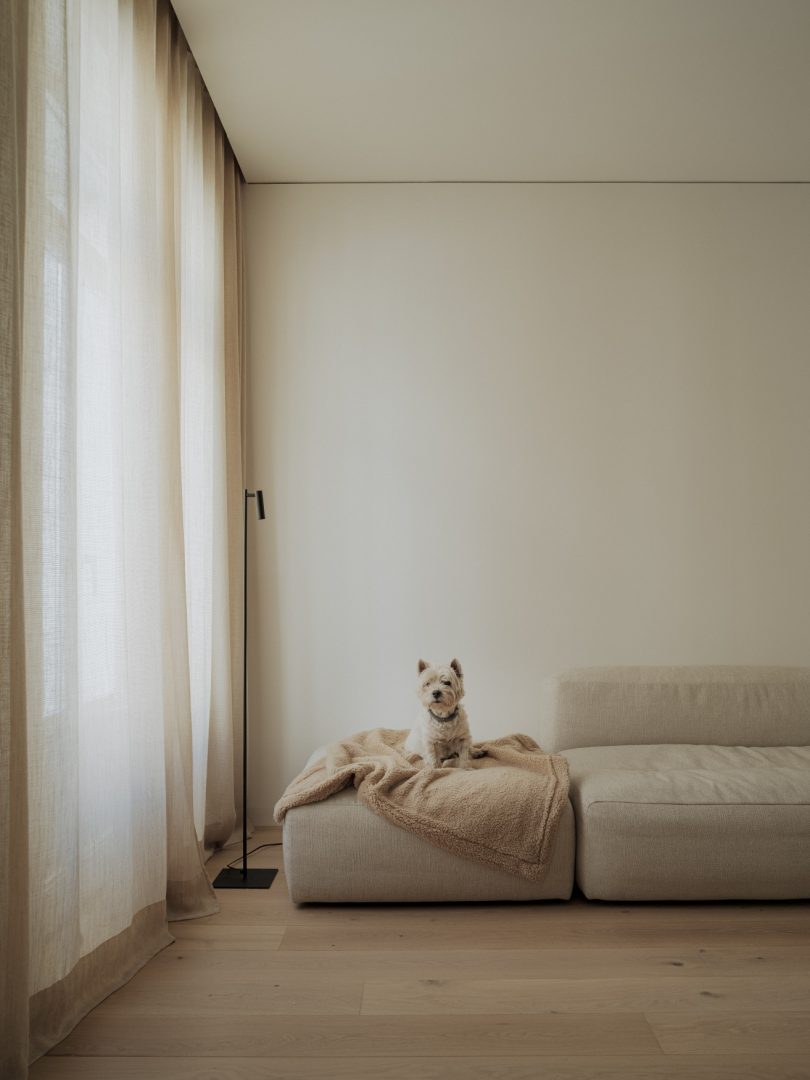 NOS Arquitectura设计的极简住宅Downtown House