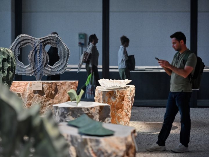 意大利维罗纳石材展:Marmomac 2024,数据、想法和举措