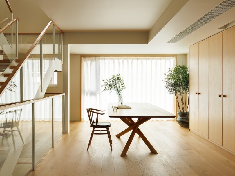 DREAMCAT LAB设计的极简住宅Plant Box House