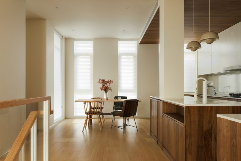 DREAMCAT LAB设计的极简住宅Plant Box House