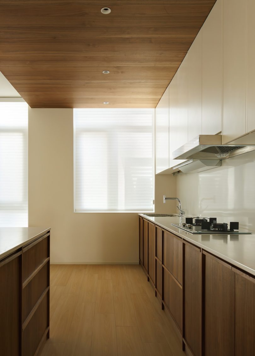 DREAMCAT LAB设计的极简住宅Plant Box House