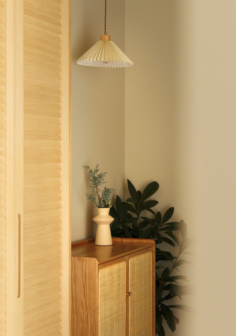 DREAMCAT LAB设计的极简住宅Plant Box House