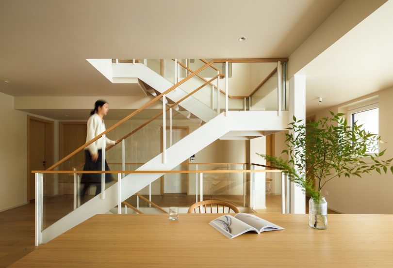 DREAMCAT LAB设计的极简住宅Plant Box House