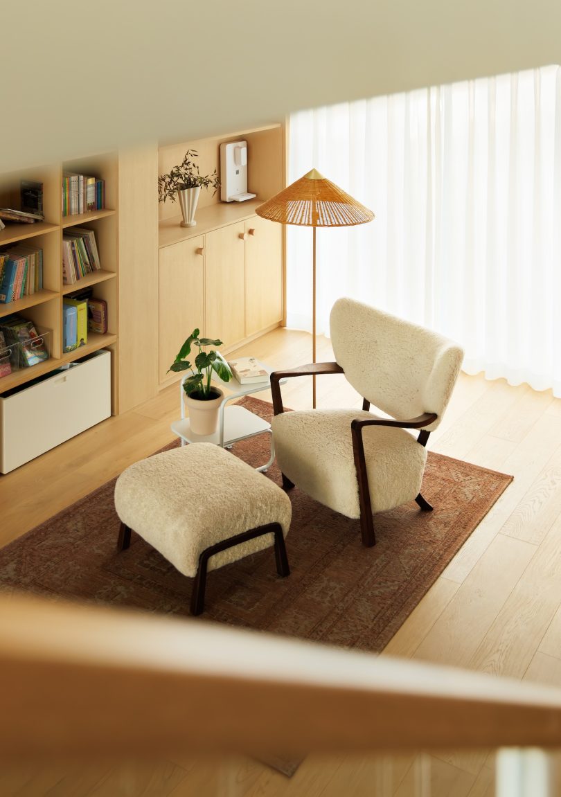 DREAMCAT LAB设计的极简住宅Plant Box House