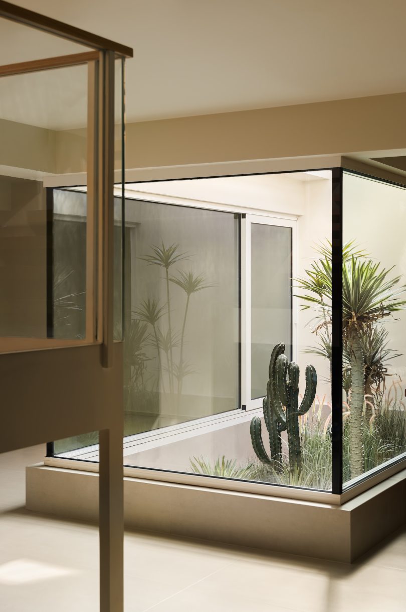 DREAMCAT LAB设计的极简住宅Plant Box House