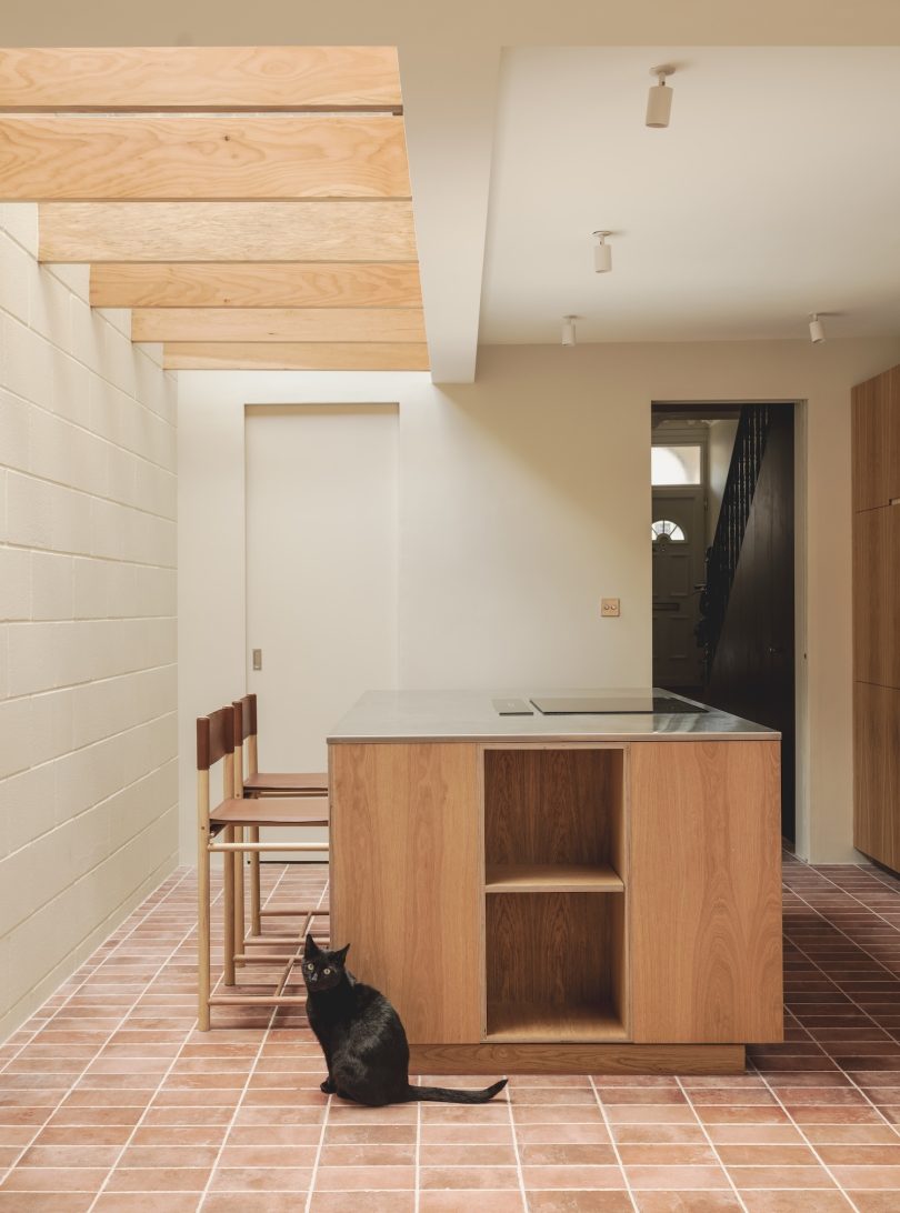 Archive for Space设计的极简住宅Jackson House