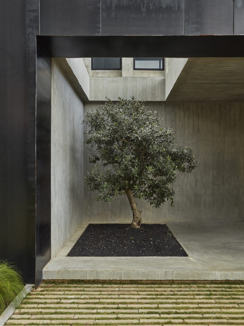 由5 Sólidos与Studiokp2设计的极简住宅Casa Haras