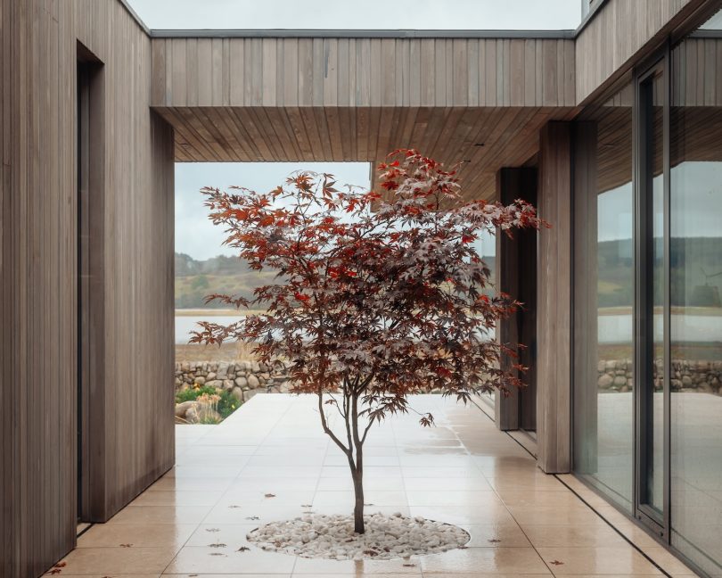 Brown & Brown Architects设计的极简住宅Tidal House