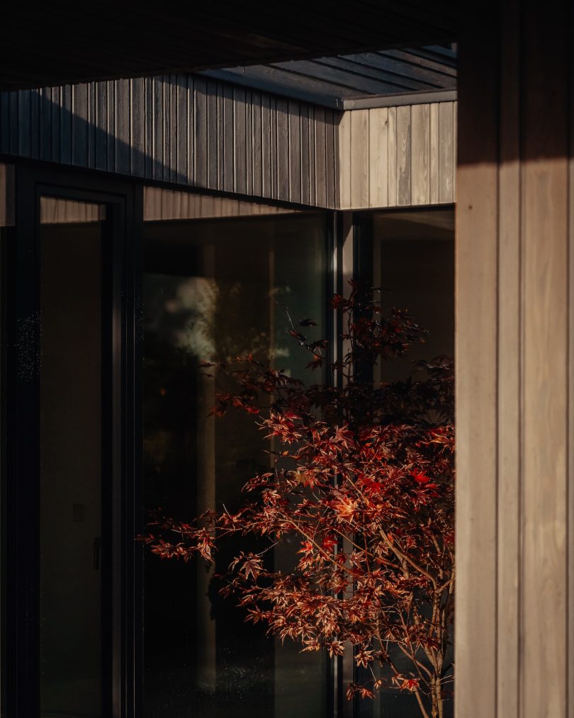 Brown & Brown Architects设计的极简住宅Tidal House