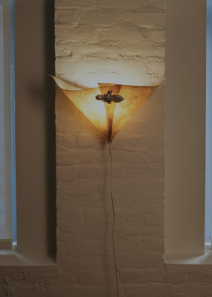 Madeline Coven设计的极简壁灯Brooched Arum(Hera)Sconce