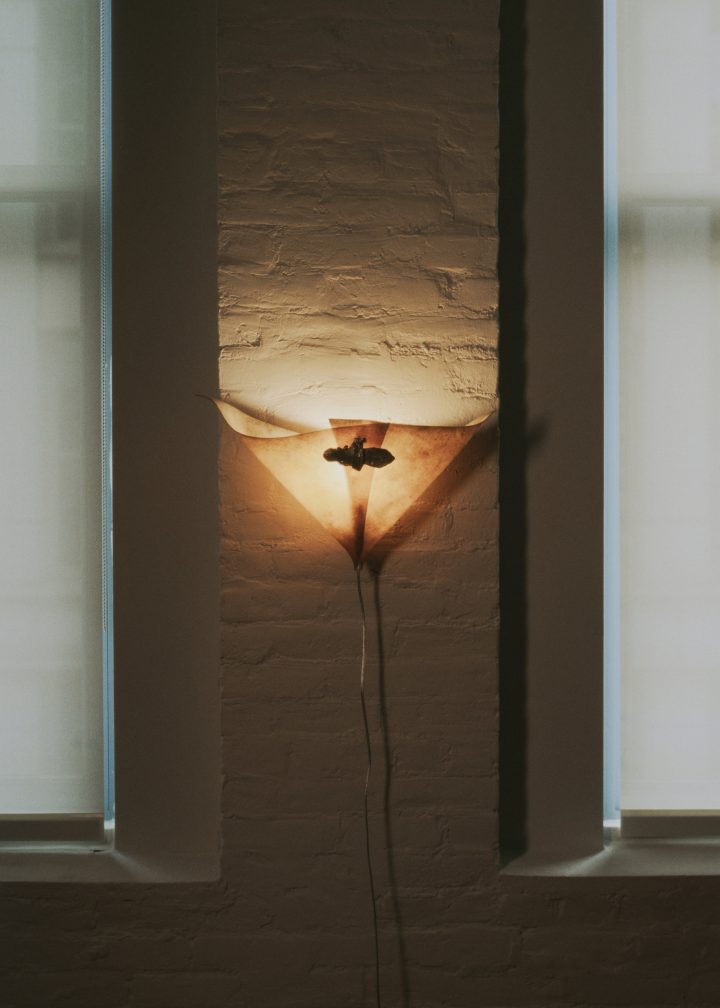 Madeline Coven设计的极简壁灯Brooched Arum(Hera)Sconce