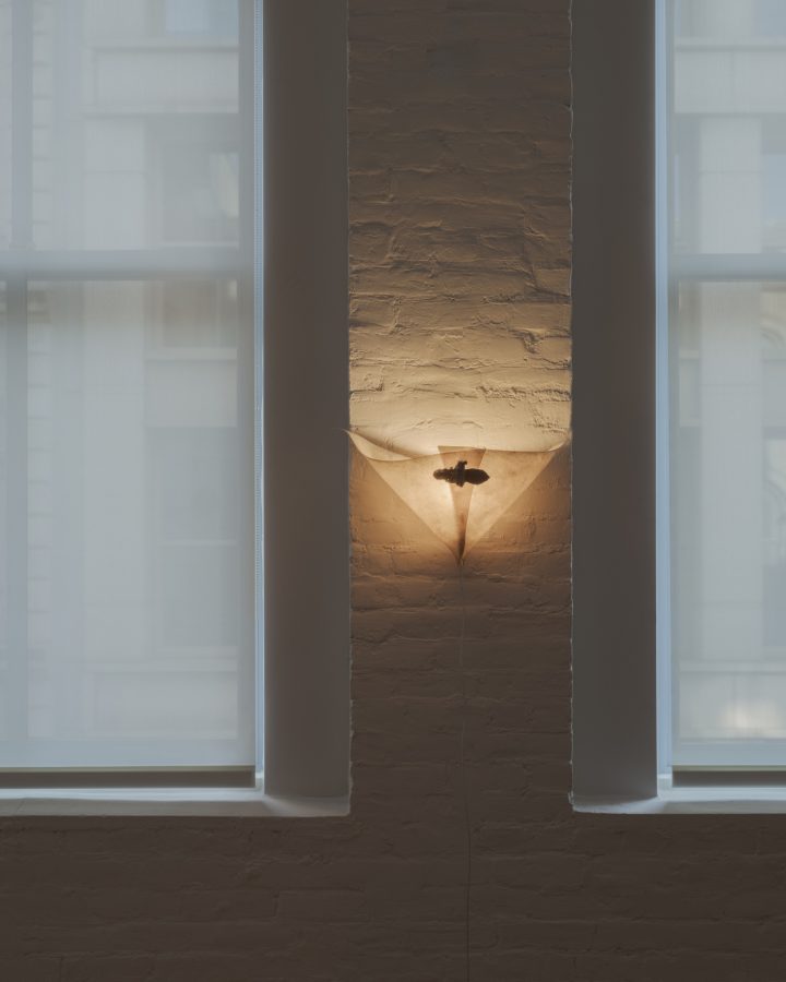 Madeline Coven设计的极简壁灯Brooched Arum(Hera)Sconce