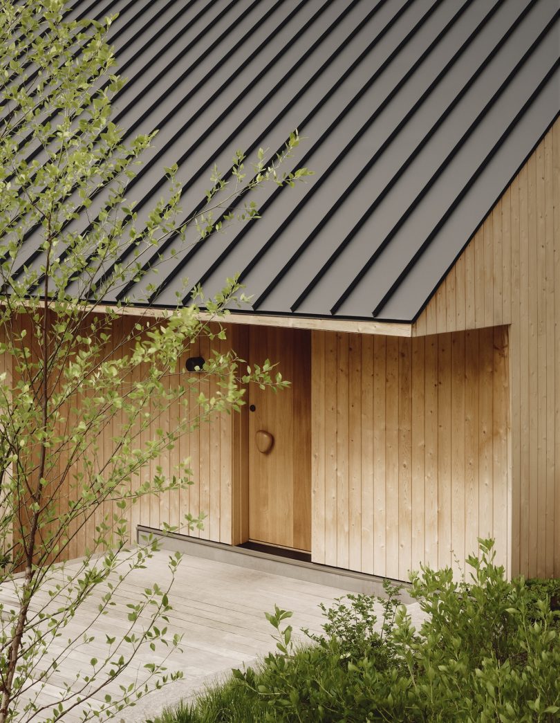 Bureau Tempo设计的极简住宅Pine Island Cottage