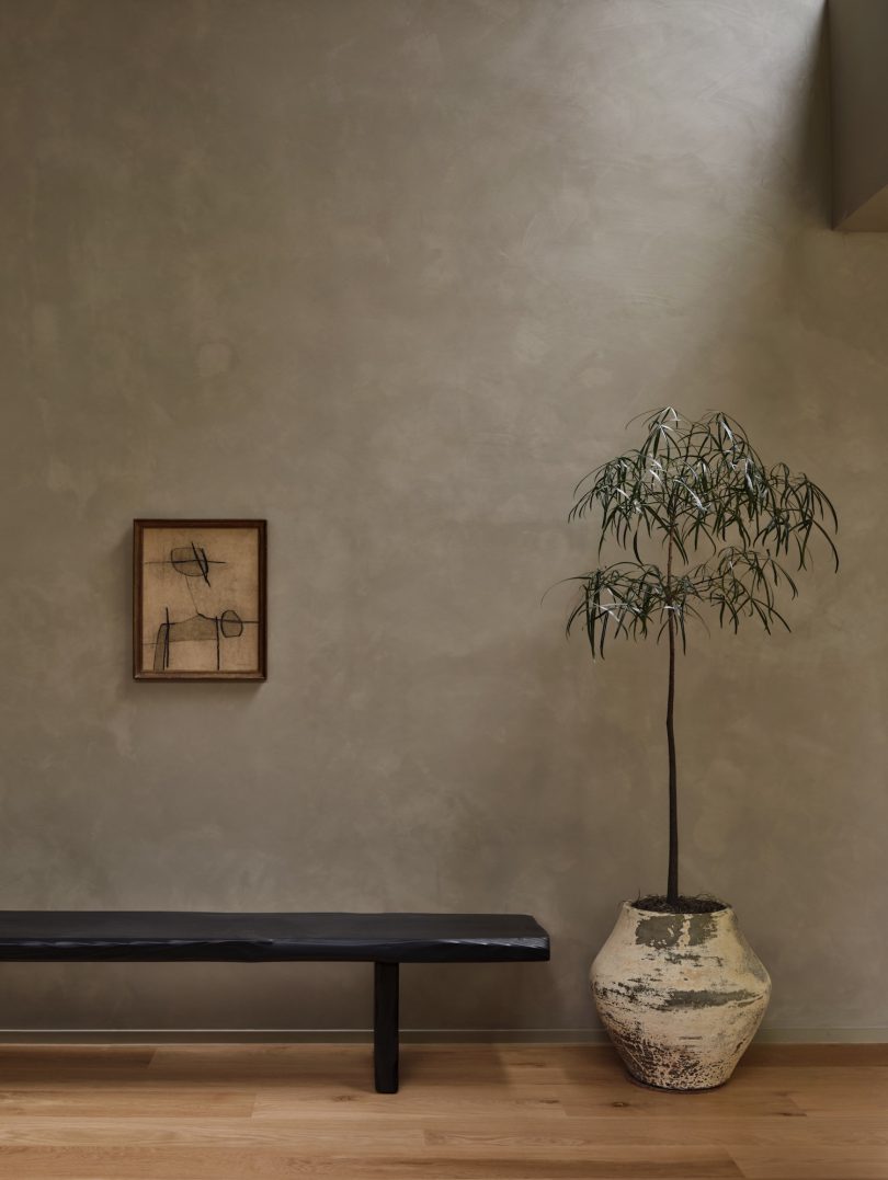 由Tina Rich设计的极简主义住宅Greenwich Modern