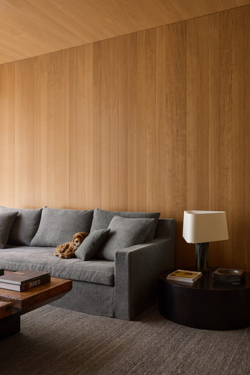 Decancq Vercruysse architects设计的极简住宅Townhouse VI