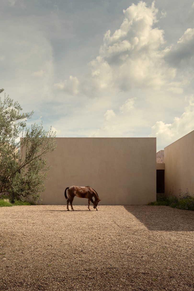 Jorge Garibay Architects设计的极简住宅Casa San Francisco