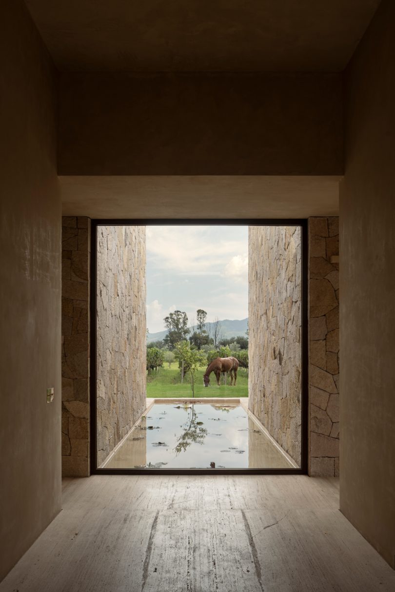 Jorge Garibay Architects设计的极简住宅Casa San Francisco