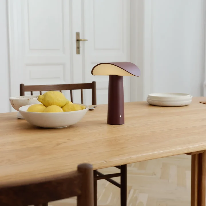 由Johannes Lindner为Gejst设计的携式台灯Lium