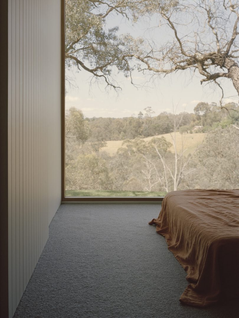 Figureground Architecture设计的极简住宅Warrandyte House