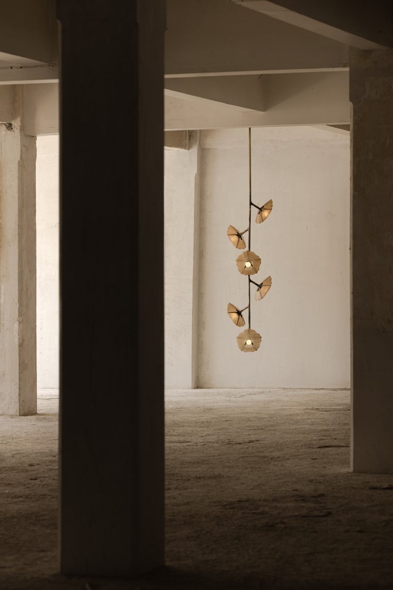 Federico Stefanovich设计的极简主义系列Salina Collection