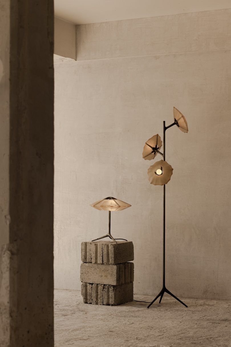 Federico Stefanovich设计的极简主义系列Salina Collection