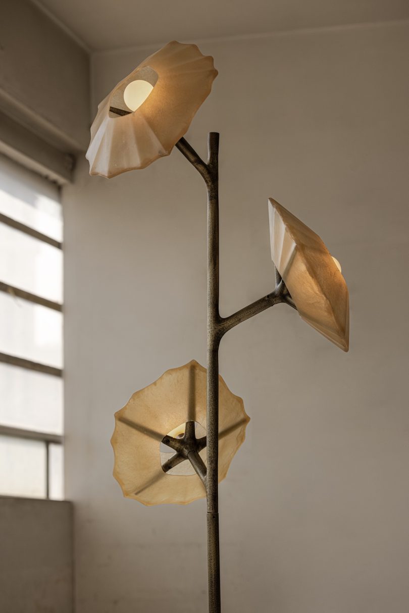 Federico Stefanovich设计的极简主义系列Salina Collection