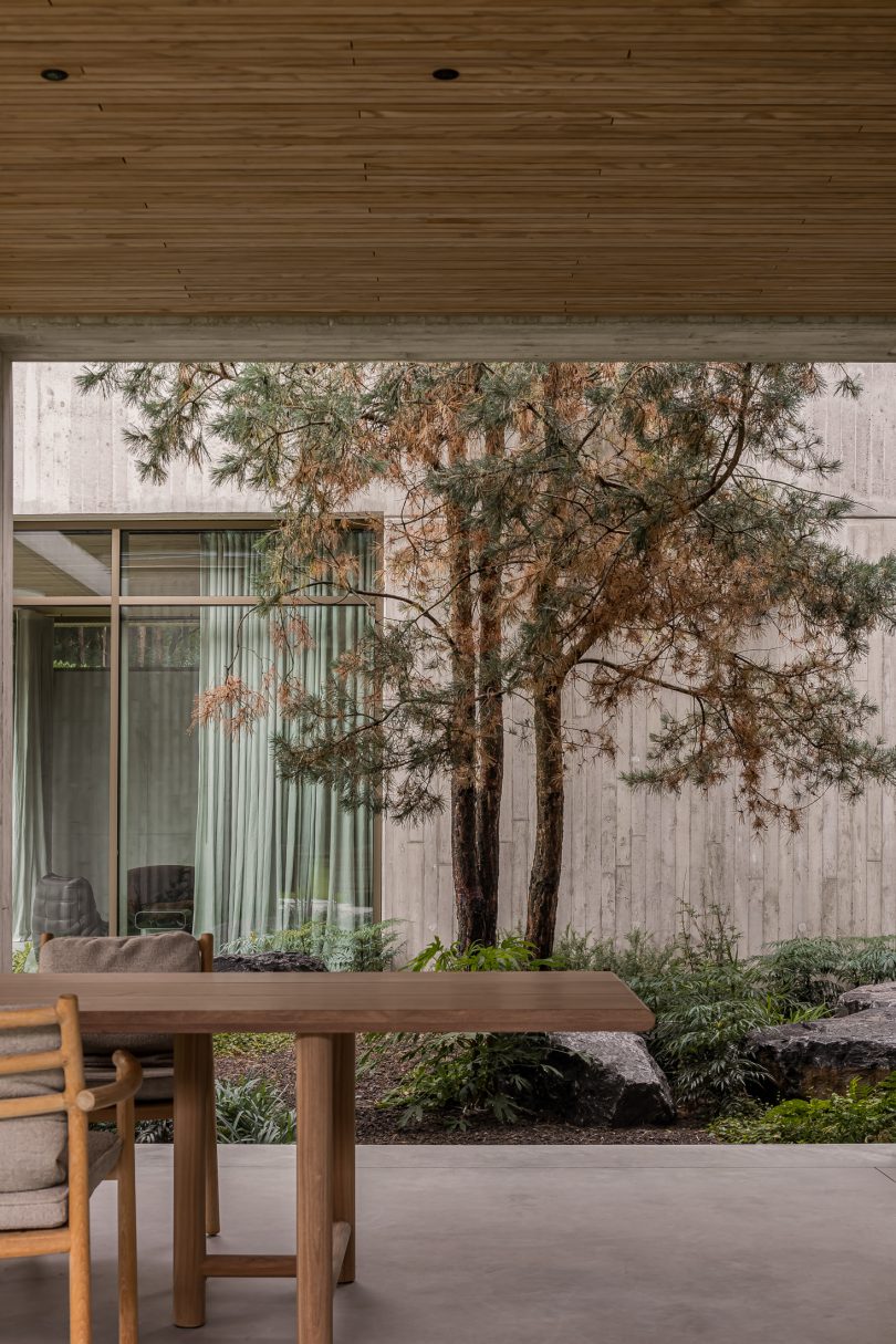 Welten Eliëns Architecten设计的极简主义别墅Concrete House