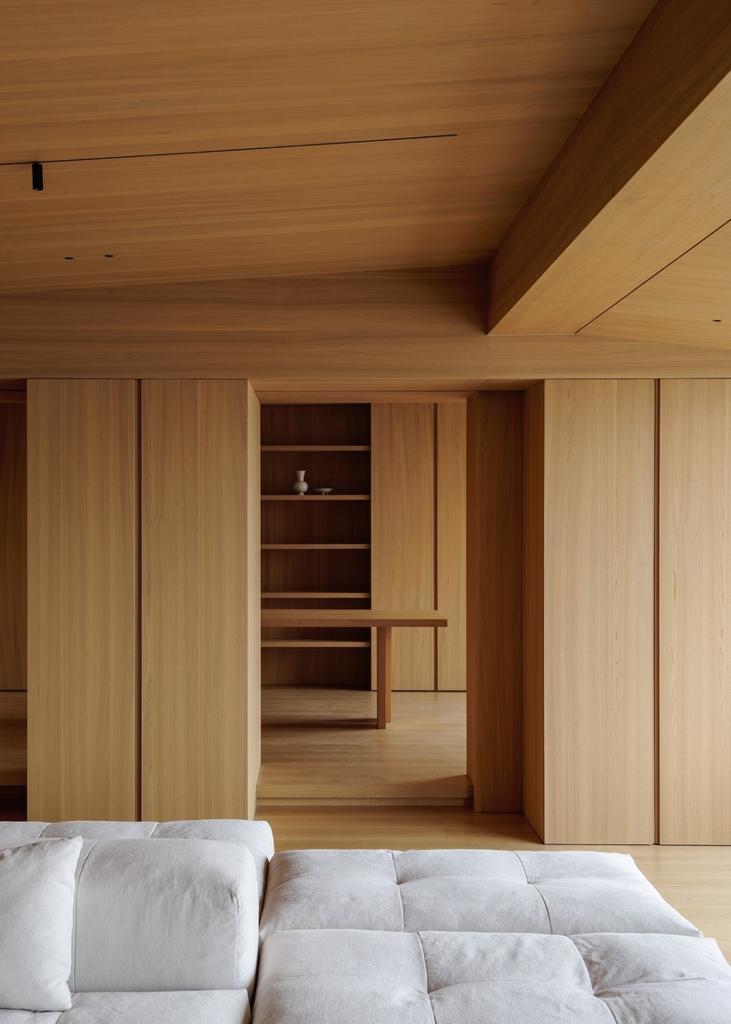 ANG 3 STUDIO 设计对的极简主义住宅 Smart Park Residence