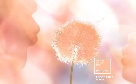 PANTONE 2024年度色彩:PANTONE 13-1023 Peach Fuzz