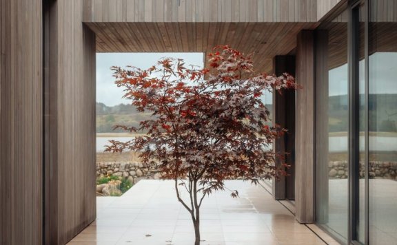 Brown & Brown Architects设计的极简住宅Tidal House