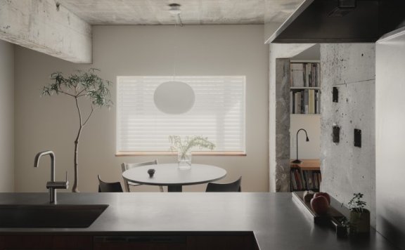 Associates设计的极简主义住宅House in Hakusan