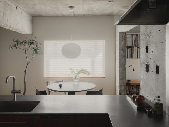 Associates设计的极简主义住宅House in Hakusan