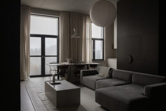 Sasha Hamolin设计的极简主义公寓MM|VV apartment