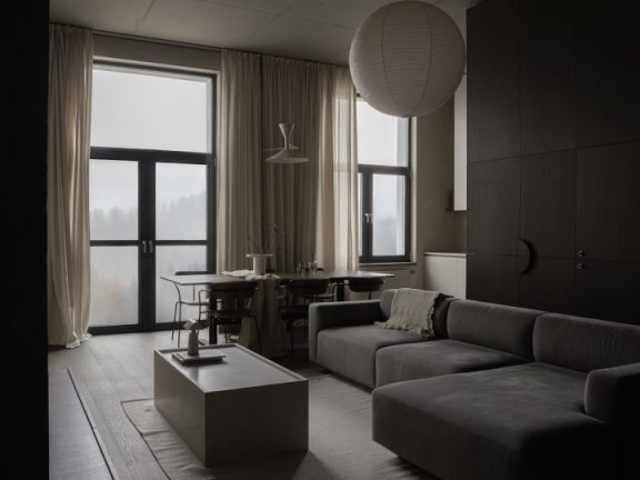 Sasha Hamolin设计的极简主义公寓MM|VV apartment